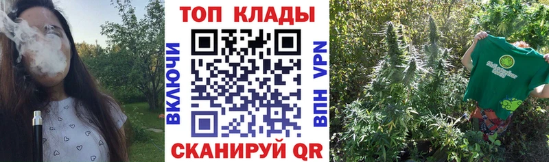 Купить наркотики сайты Ленинск-Кузнецкий Каннабис Alpha PVP ГАШ Меф