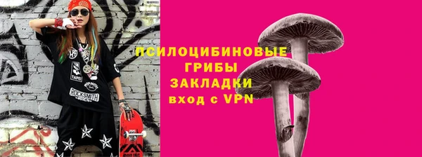 ECSTASY Алексеевка