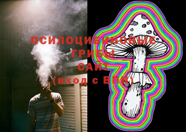 ECSTASY Алексеевка