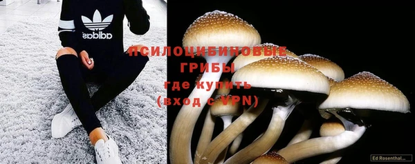 тгк Алзамай