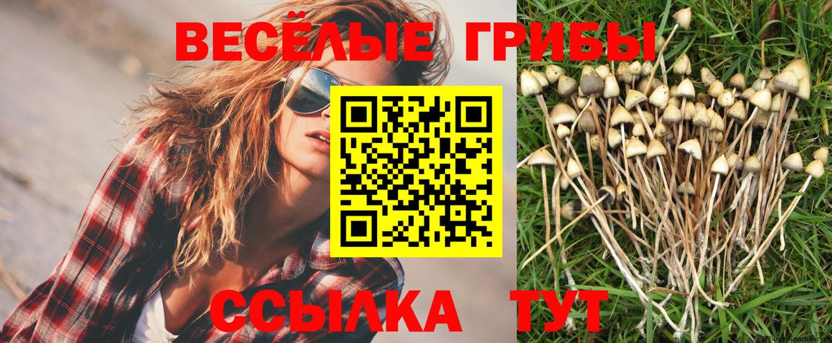 Ленинск-Кузнецкий  Псилоцибиновые грибы MAGIC MUSHROOMS  Вход с VPN  Галлюциногенные грибы мухоморы 