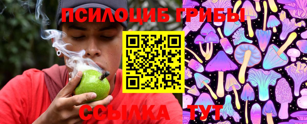 Галлюциногенные грибы ЛСД Ленинск-Кузнецкий
